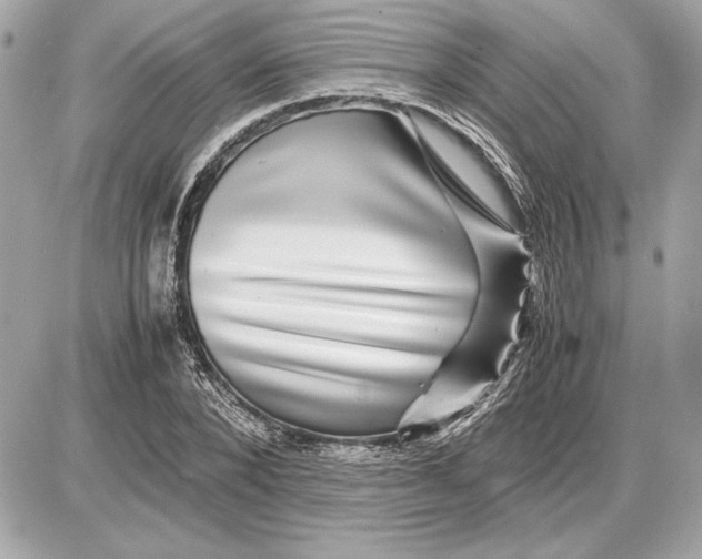 X0000085840880200704091721