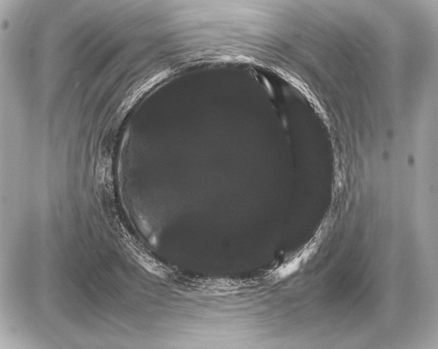 X0000085840881200704091721