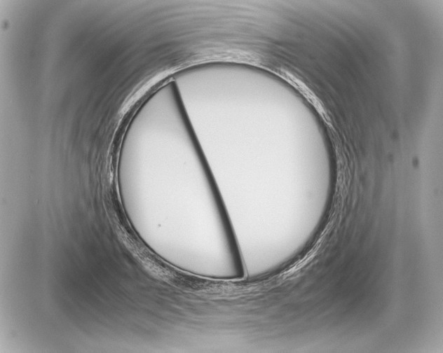 X0000085840885200704091720