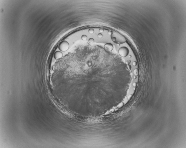 X0000085840887200704091720