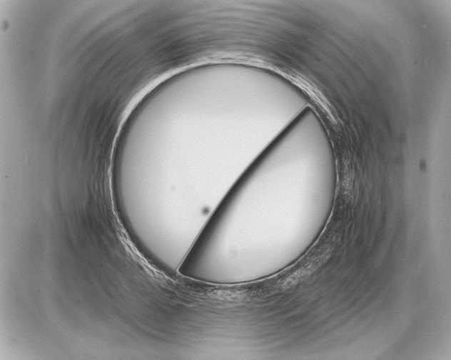 X0000085840888200704091720