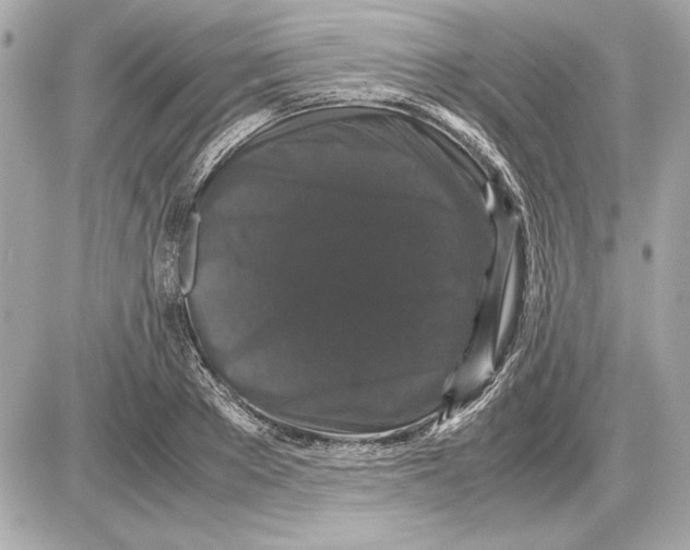 X0000085840889200704091720