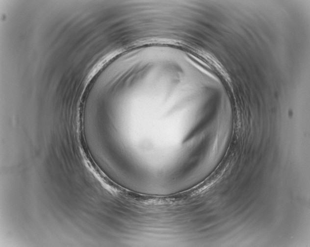 X0000085840898200704091720