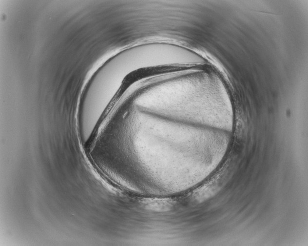 X0000085840902200704091720