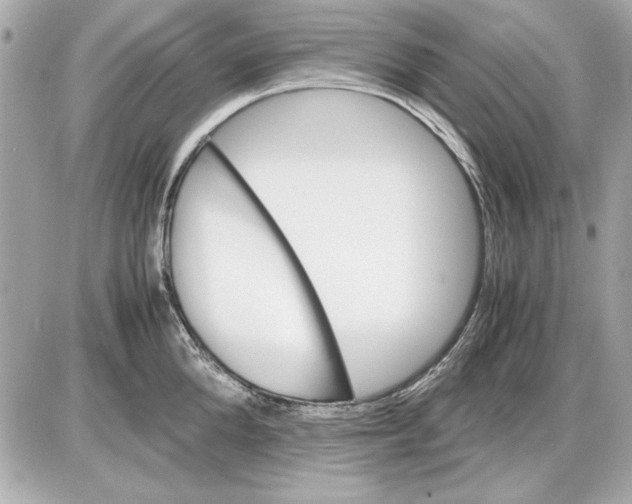 X0000085840904200704091720