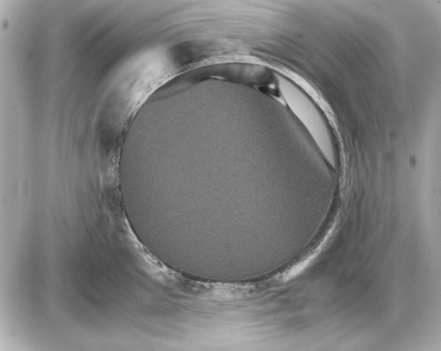 X0000085840905200704091720