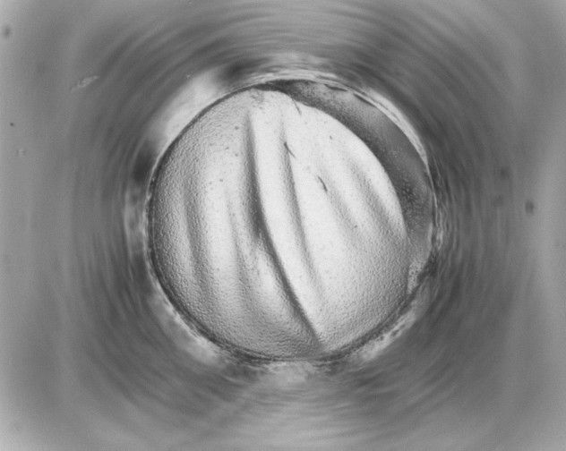 X0000085840906200704091720