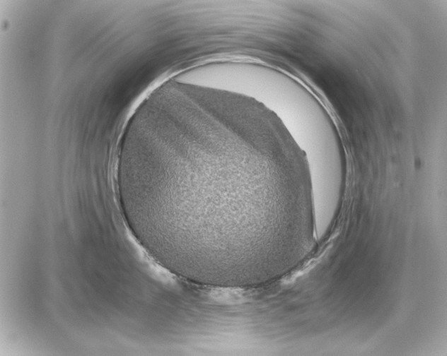 X0000085840909200704091720