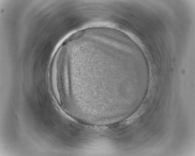 X0000085840912200704091720