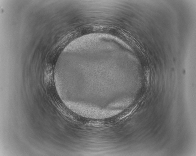 X0000085840914200704091719