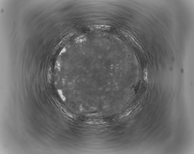 X0000085840915200704091719