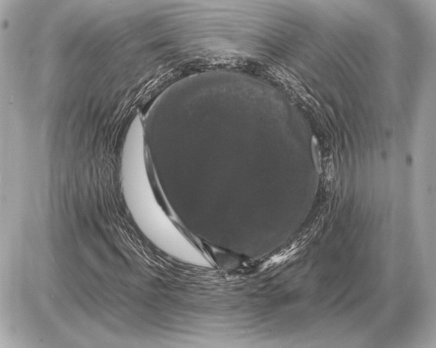 X0000085840916200704091719