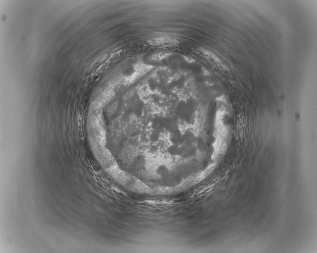 X0000085840917200704091719
