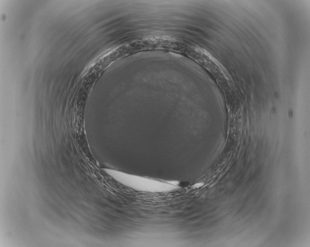 X0000085840919200704091719