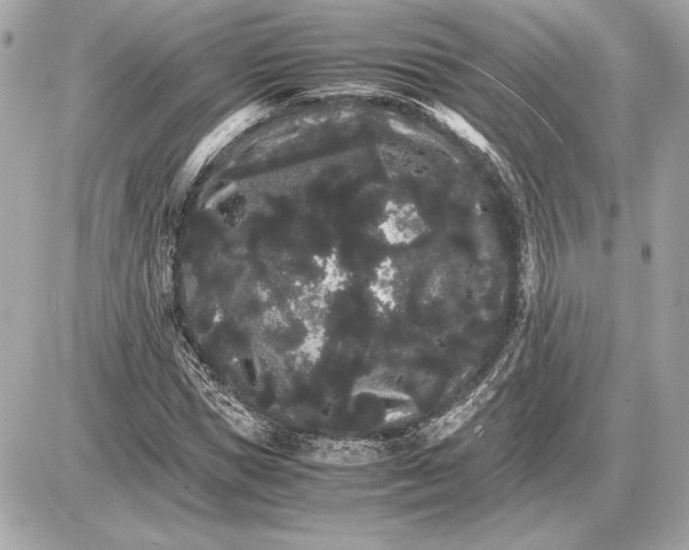 X0000085840921200704091719