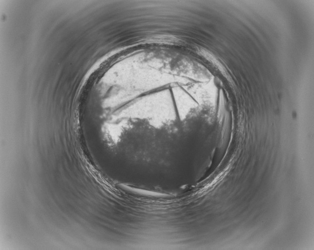 X0000085840923200704091719