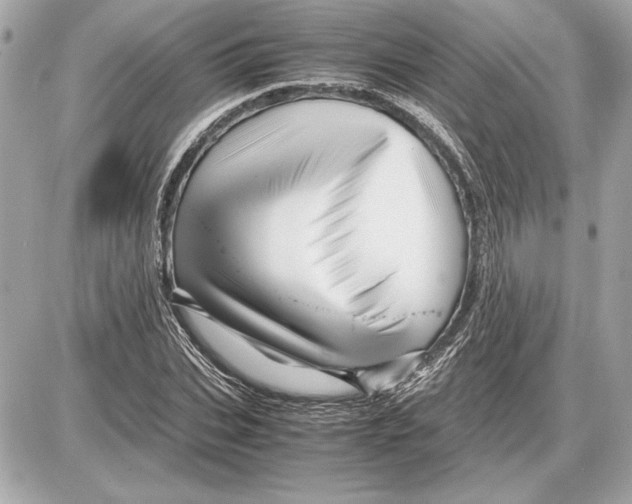 X0000085840927200704091719