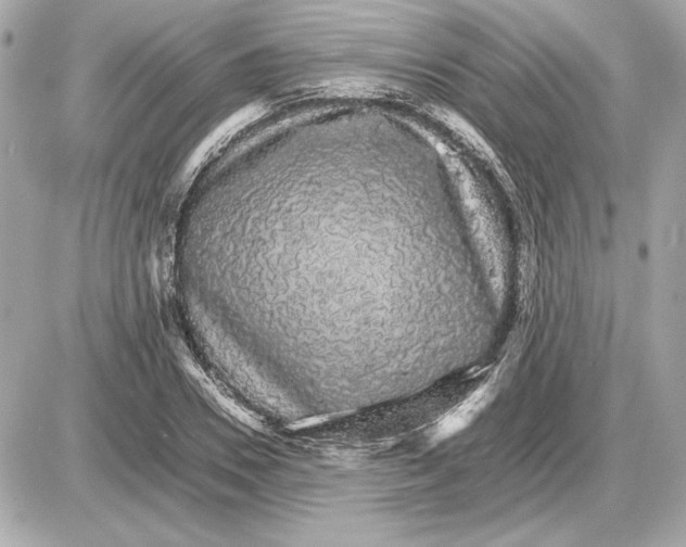 X0000085840930200704091719