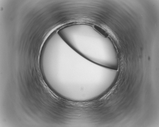 X0000085840932200704091720