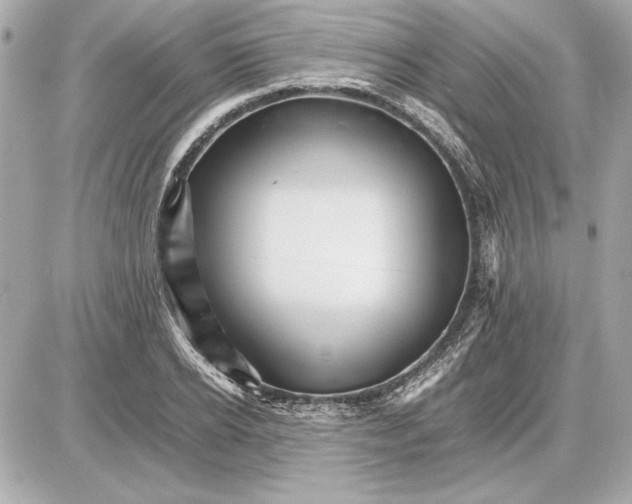 X0000085840934200704091720