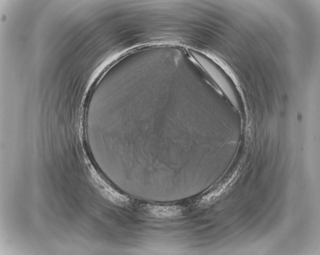 X0000085840941200704091720