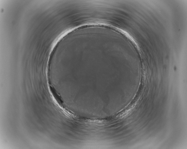 X0000085840943200704091720