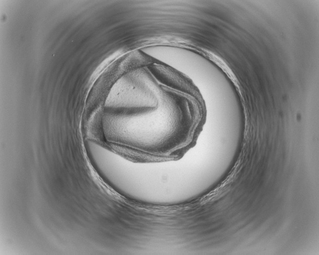 X0000085840946200704091720