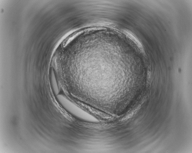 X0000085840948200704091720