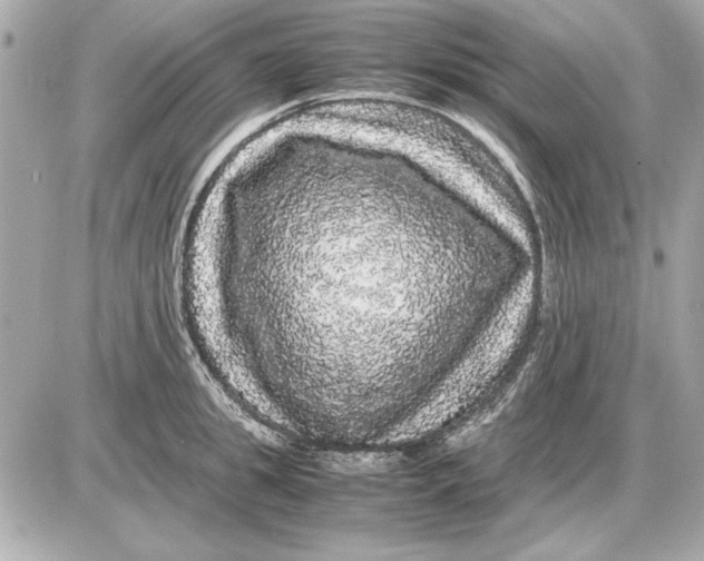 X0000085840949200704091720