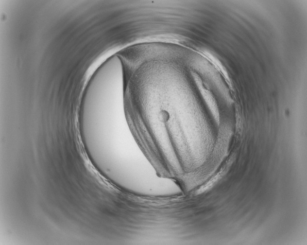 X0000085840952200704091720
