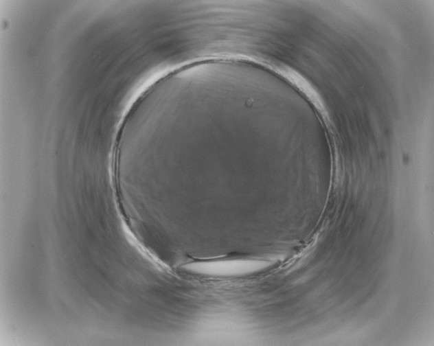 X0000085840958200704091720