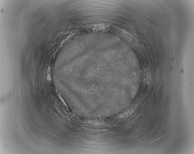 X0000085840962200704091719