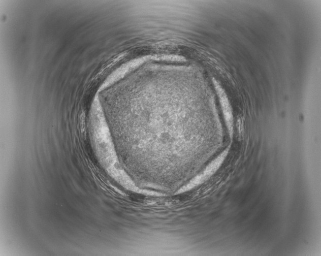 X0000085840963200704091719