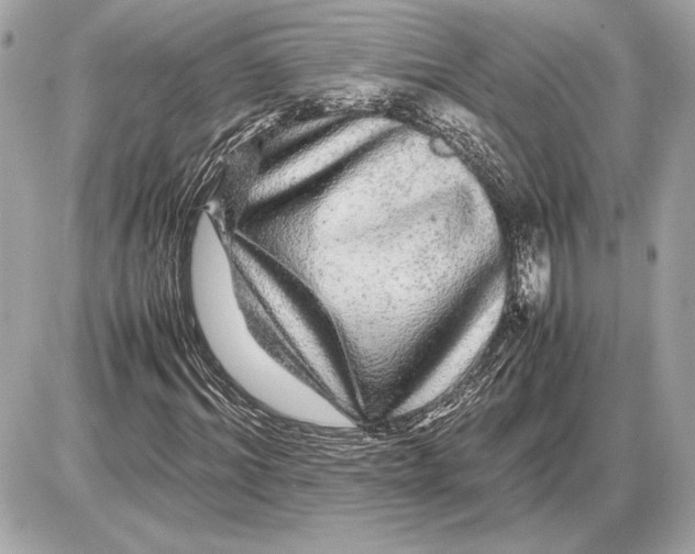 X0000085840964200704091719