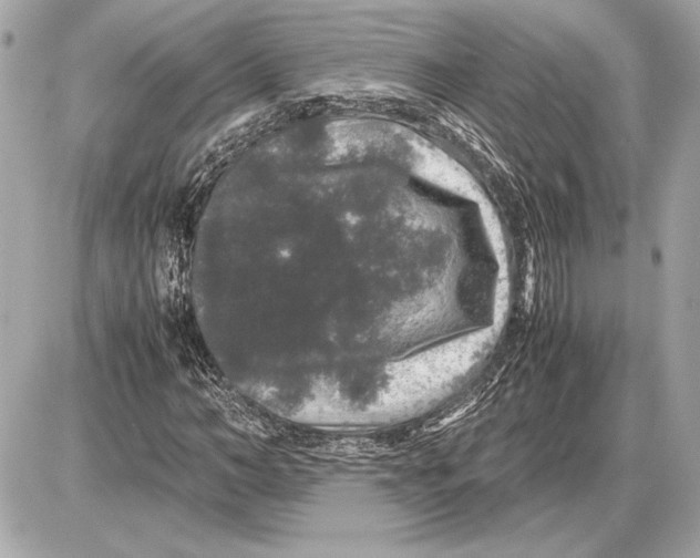 X0000085840966200704091719