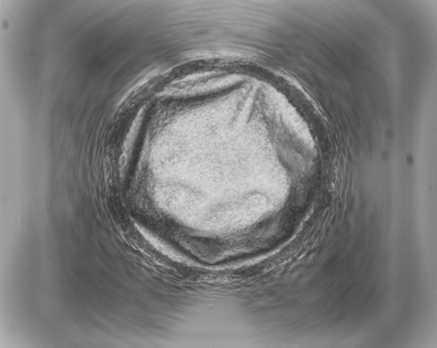 X0000085840967200704091719