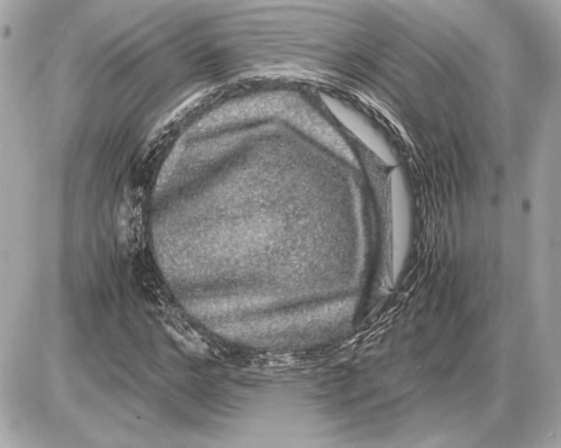 X0000085840968200704091719