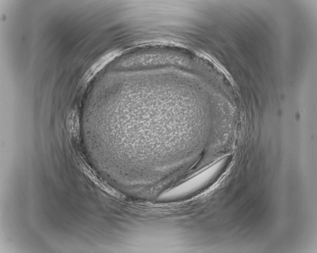 X0000085840969200704091719