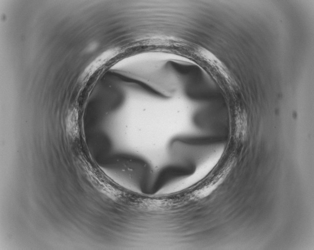X0000085840970200704091719