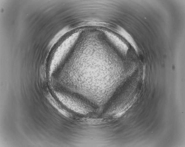 X0000085840972200704091719