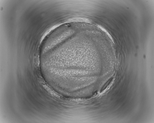 X0000085840973200704091719