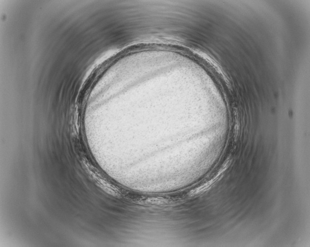 X0000085840974200704091719