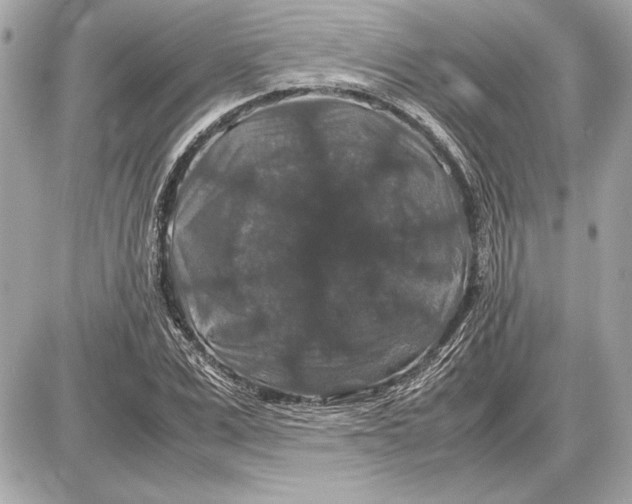 X0000085840975200704091719