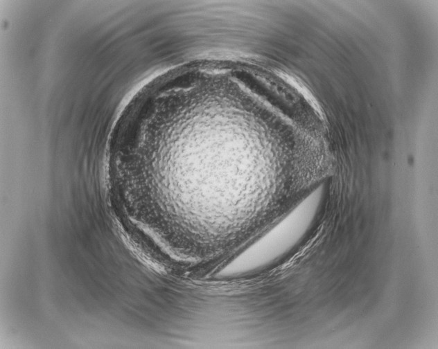 X0000085840976200704091719