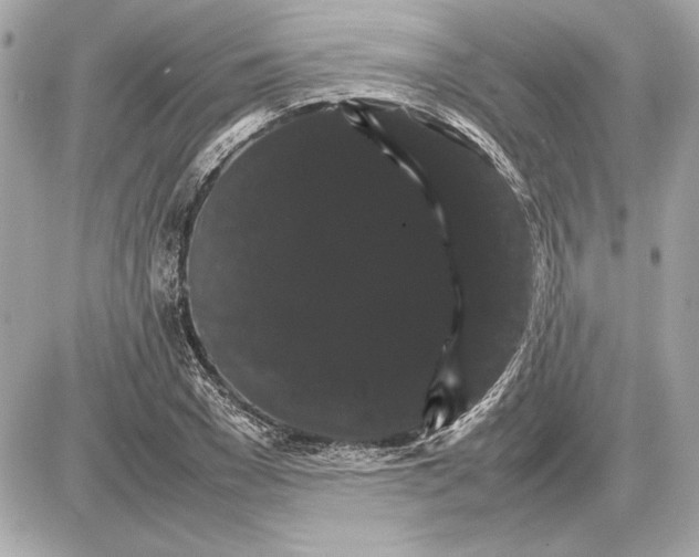 X0000085840977200704091719