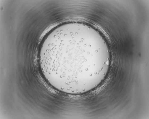 X0000085840978200704091719