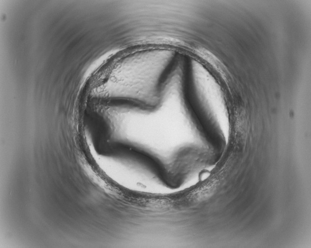 X0000085840979200704091719