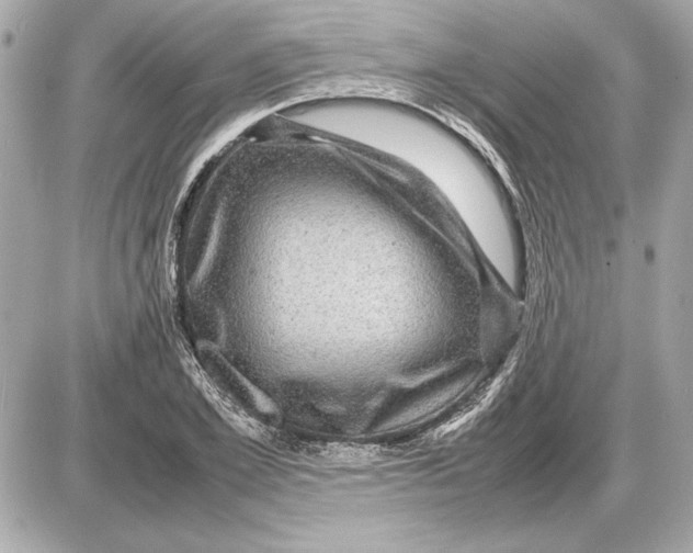 X0000085840981200704091719