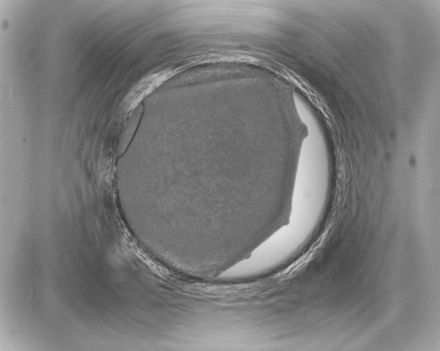 X0000085840985200704091719