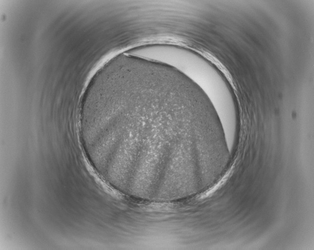 X0000085840989200704091719